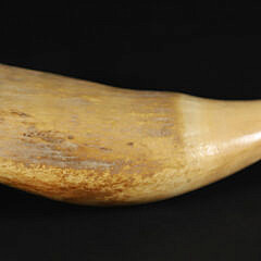 Scrimshaw Whale Tooth Portrait of a Gentleman, 19th Century