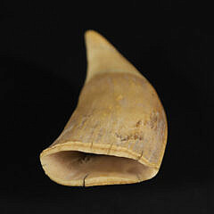Scrimshaw Whale Tooth Portrait of a Gentleman, 19th Century