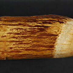 Scrimshaw Sperm Whale Tooth, 19th Century