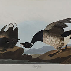 Facsimile Folio Edition of John James Audubon
