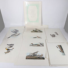 Facsimile Folio Edition of John James Audubon’s Birds of America Litho Prints