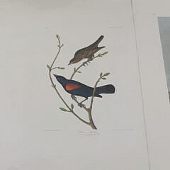 Facsimile Folio Edition of John James Audubon’s Birds of America Litho Prints