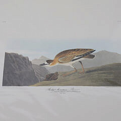 Facsimile Folio Edition of John James Audubon’s Birds of America Litho Prints