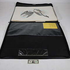 Facsimile Folio Edition of John James Audubon’s Birds of America Litho Prints