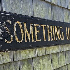 Vintage Carved and Painted Something Unique Quarterboard Trade Sign, 20th century