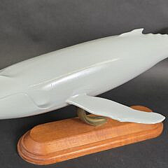 4354-955 Gray Whale A