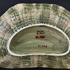 Set of Twelve Italian Shrimp Decorated Shell Form Plates, 20th centur