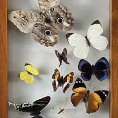 4366-955 Framed Butterflies A.edited