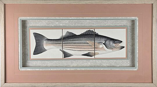 4375-955 Bass Tripych A.edited