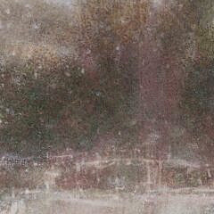 Paul Lapaglia Oil on Canvas “Nantucket Fall”