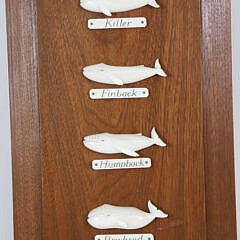 Aletha Macy 8 Whale Species Plaque, circa 1960