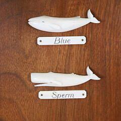 Aletha Macy 8 Whale Species Plaque, circa 1960