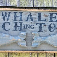4329-955 Whale Watch Sign A