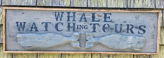 4329-955 Whale Watch Sign A