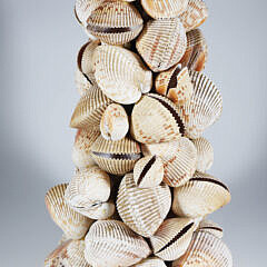 Scallop Shell Encrusted Lamp