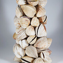 Scallop Shell Encrusted Lamp