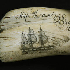 Scrimshaw Whale Tooth Ship Wiscasset “Richard Macy Master on the coast of New Zealand April 1836”