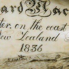Scrimshaw Whale Tooth Ship Wiscasset “Richard Macy Master on the coast of New Zealand April 1836”