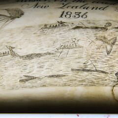 Scrimshaw Whale Tooth Ship Wiscasset “Richard Macy Master on the coast of New Zealand April 1836”