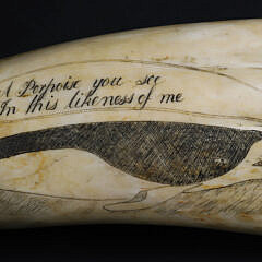 Scrimshaw Whale Tooth Ship Wiscasset “Richard Macy Master on the coast of New Zealand April 1836”