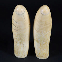 Pair of Antique Sperm Whale Teeth, Mid 19th Century