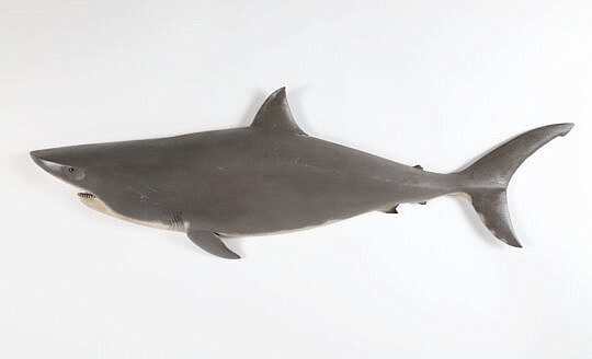 Brian Mitchell Carved and Painted Half Body Great White Shark