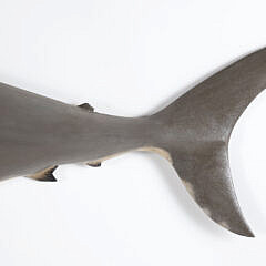 Brian Mitchell Carved and Painted Half Body Great White Shark