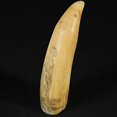 Scrimshaw Whale’s Tooth “Asian Water Man”, 19th Century