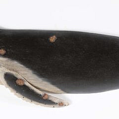 Brian Mitchell Carved and Painted Half Body Right Whale