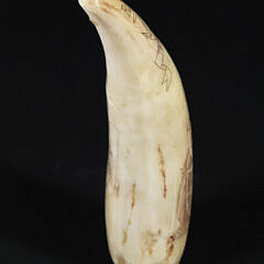 Scrimshaw Whale’s Tooth “Triton”, 19th Century