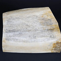 Antique Scrimshaw Pan Bone Section With View of Old Sherburne