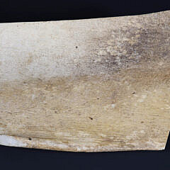 Antique Scrimshaw Pan Bone Section Engraved with a  View of Old Sherburne