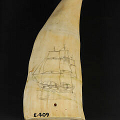 Scrimshaw Whale tooth 19th Century Folk Art Portrait of a Bark Collection #E. 409