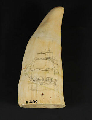 Scrimshaw Whale tooth 19th Century Folk Art Portrait of a Bark Collection #E. 409