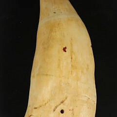 Scrimshaw Whale Tooth, “Folk Art Portrait of a Bark”, 19th Century