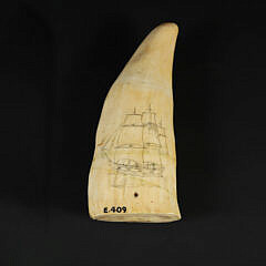 Scrimshaw Whale Tooth, “Folk Art Portrait of a Bark”, 19th Century