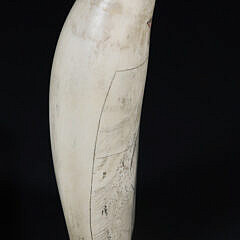 Scrimshaw Whale’s Tooth “Hope Father”, 19th Century