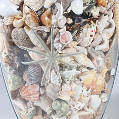 Decorative Clear Glass Lamp Filled with Tropical Shells