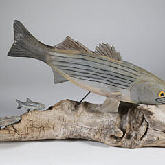 Folk Art Carved and Painted Striped Bass on Driftwood