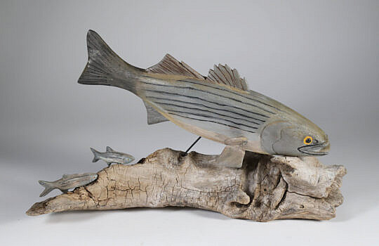 Folk Art Carved and Painted Striped Bass on Driftwood