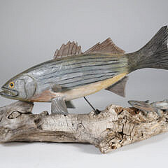 Folk Art Carved and Painted Striped Bass on Driftwood Base