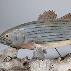 Folk Art Carved and Painted Striped Bass on Driftwood Base