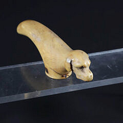 Carved Antique Ivory Cane Handle in the Form of a Dog, 19th Century