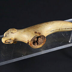 Carved Antique Ivory Cane Handle in the Form of a Dog, 19th Century