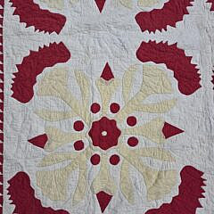 Antique Whig Rose Applique Quilt, 19th Century