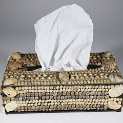 Shell Encrusted Tissue Box with Slide Cover on Base