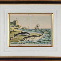 Antique Framed Print of a Breached Narwhal and Dolphin, 19th Century