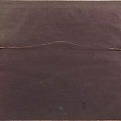 Antique Framed Print of a Breached Narwhal and Dolphin, 19th Century