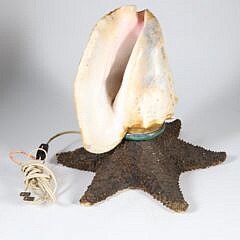 Starfish and Shell Lamp 19th Century
