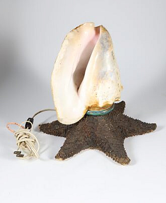Starfish and Shell Lamp 19th Century